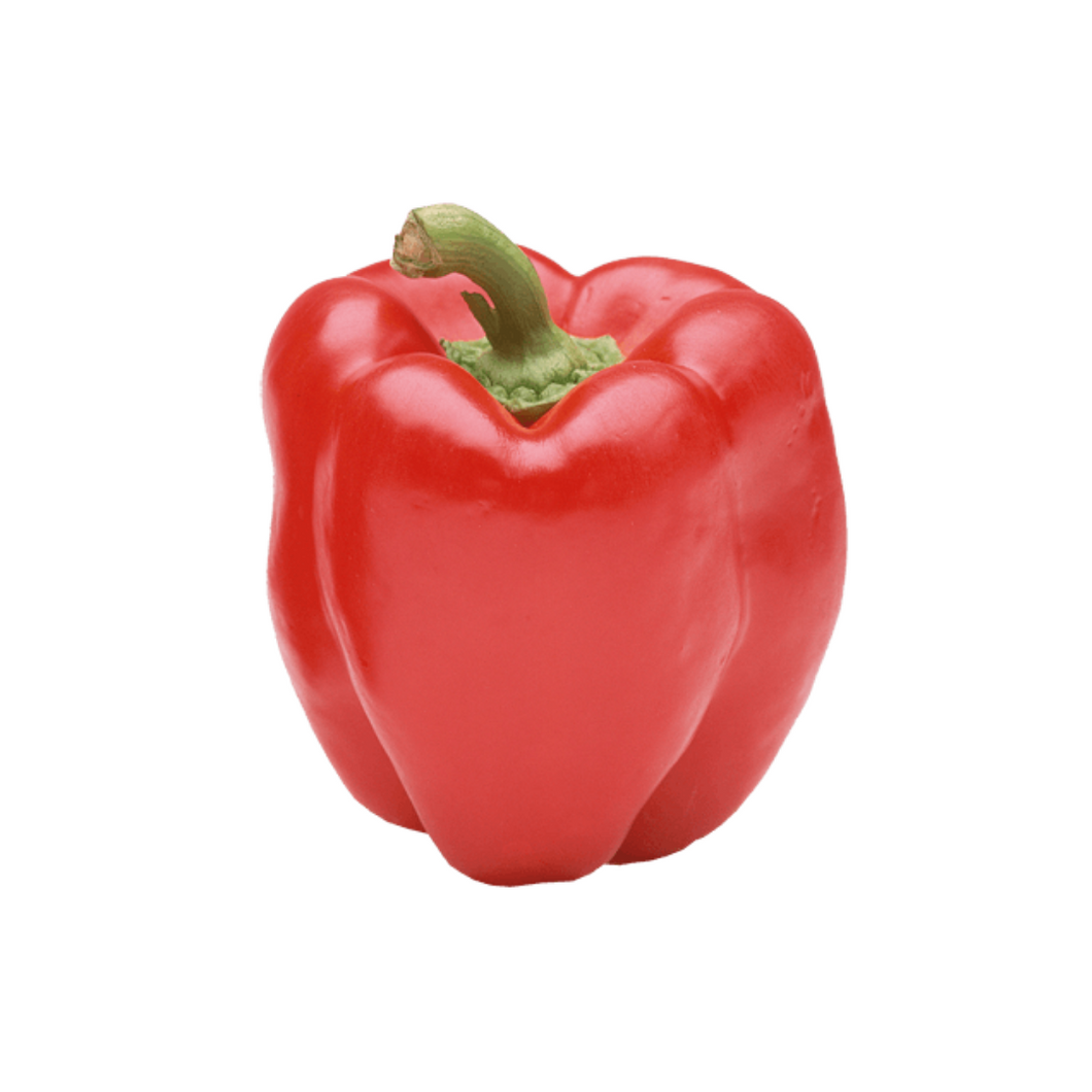 Capsicum - Red