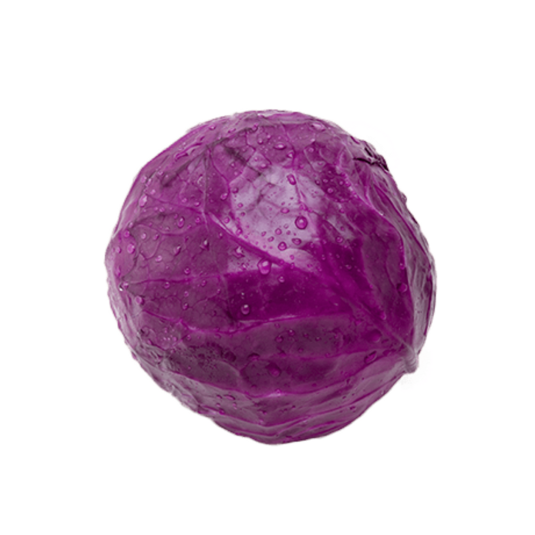 Cabbage - Red