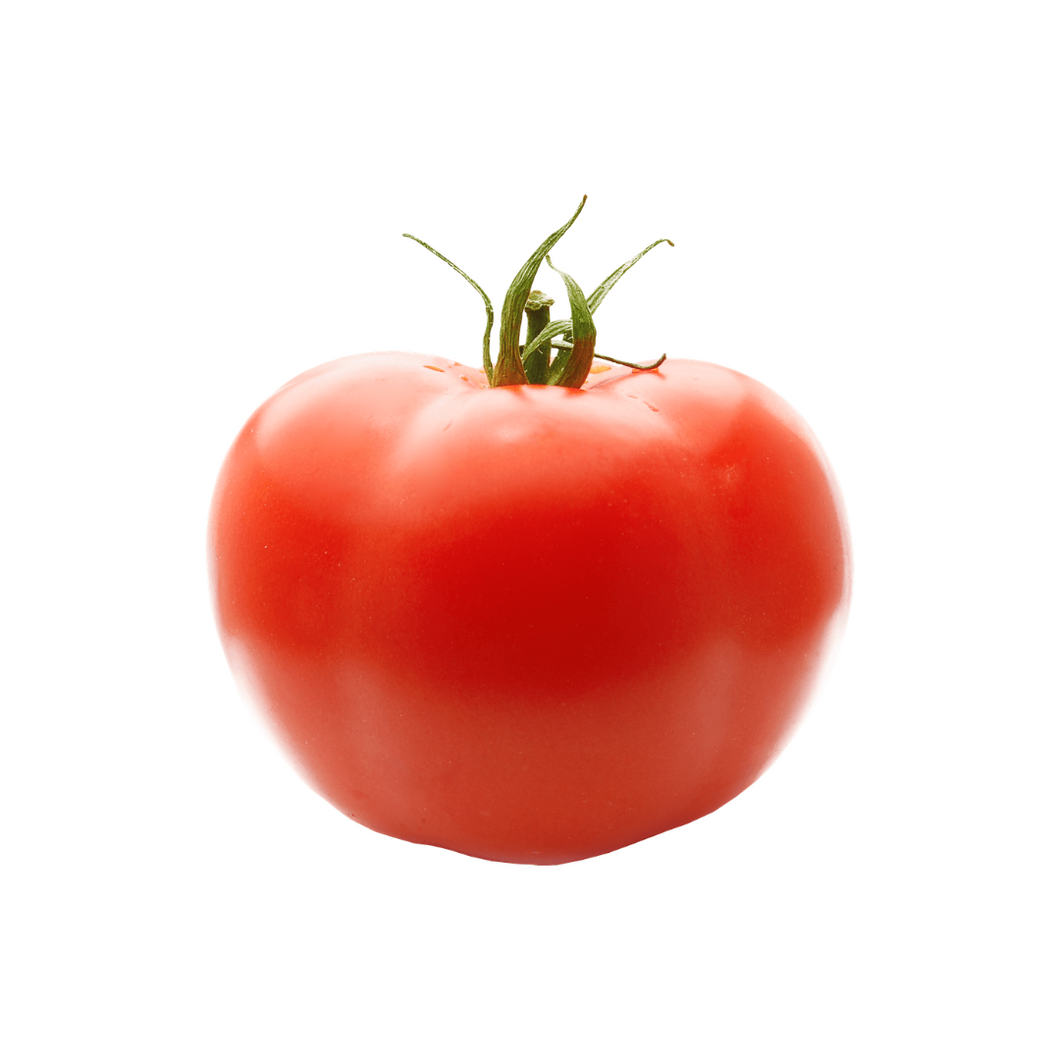 Tomato - Large