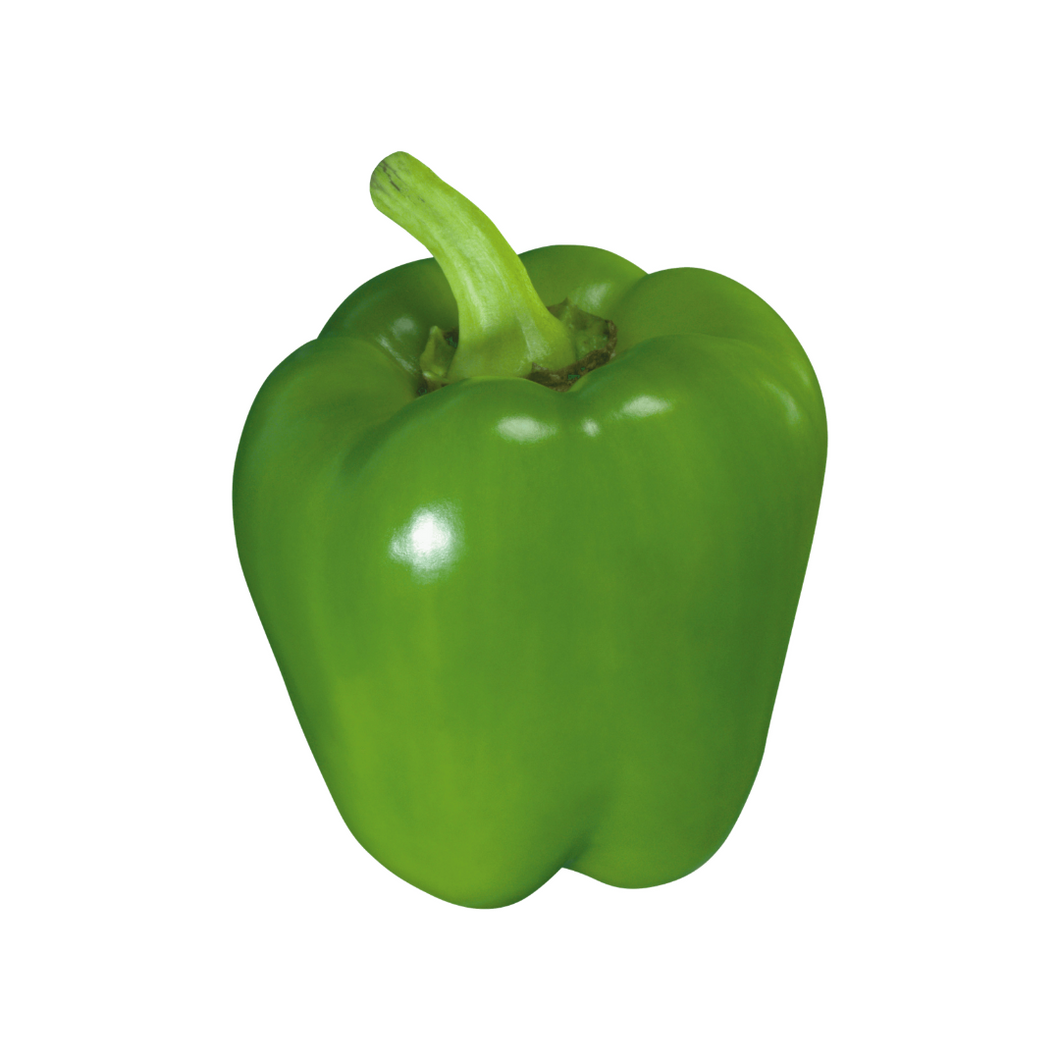 Capsicum - Green