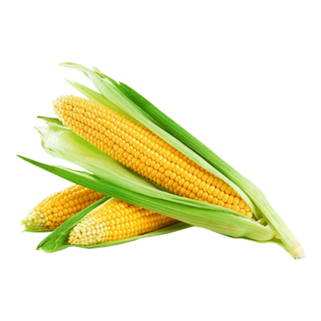 Corn - Sweet Cob