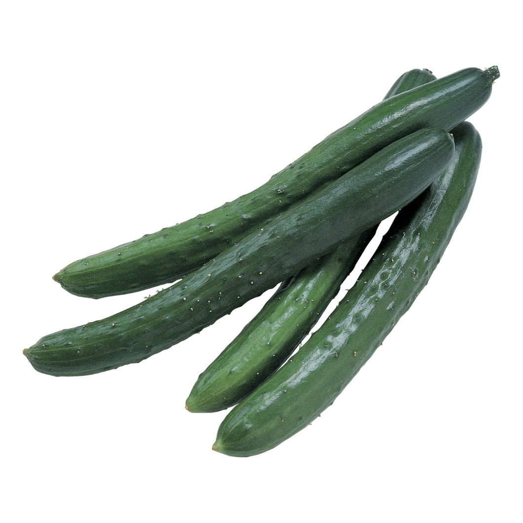 Cucumber - Continental