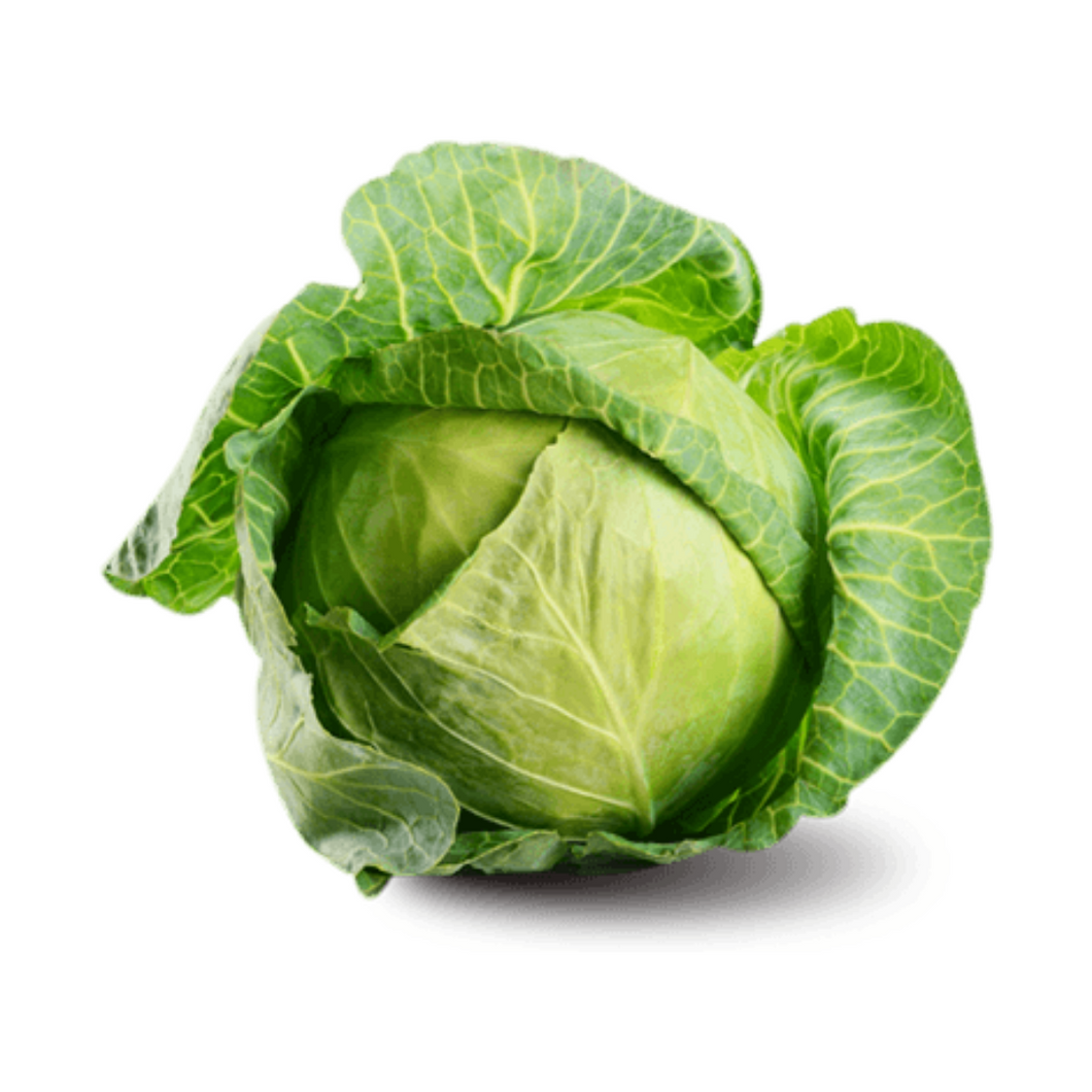 Cabbage - Sugarloaf