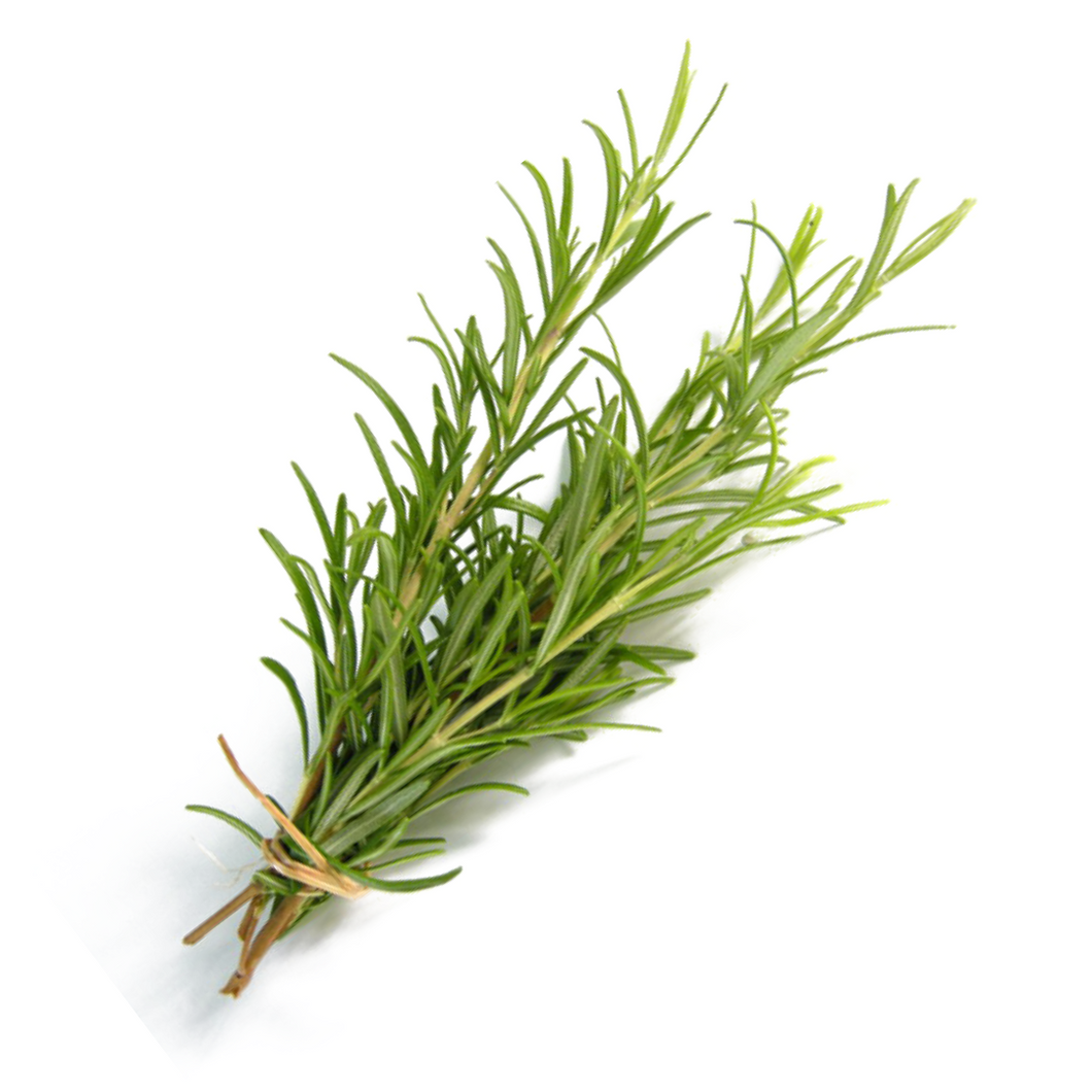 Rosemary