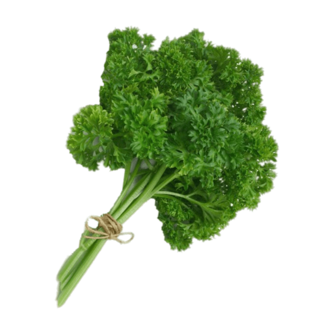 Parsley - Curley