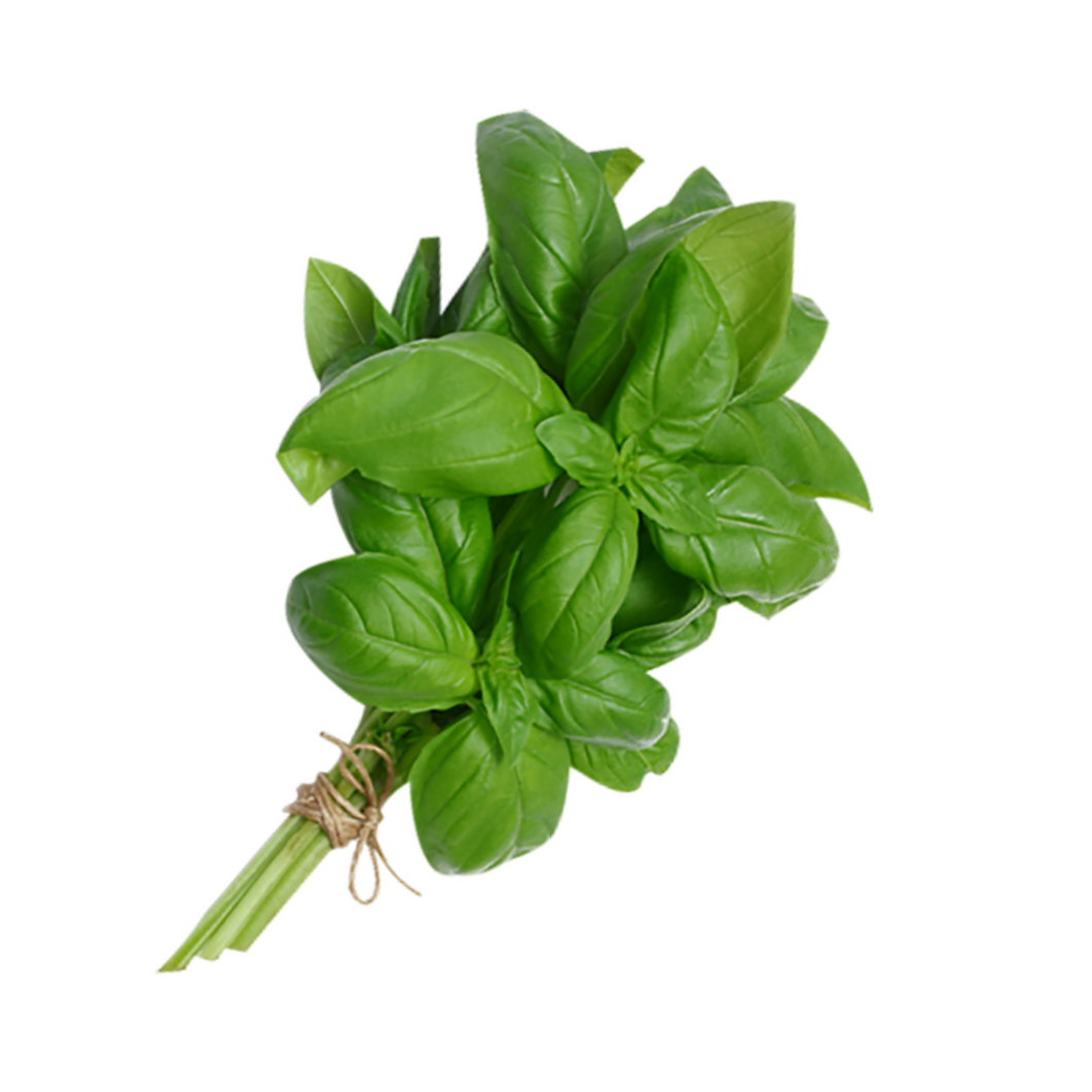 Basil
