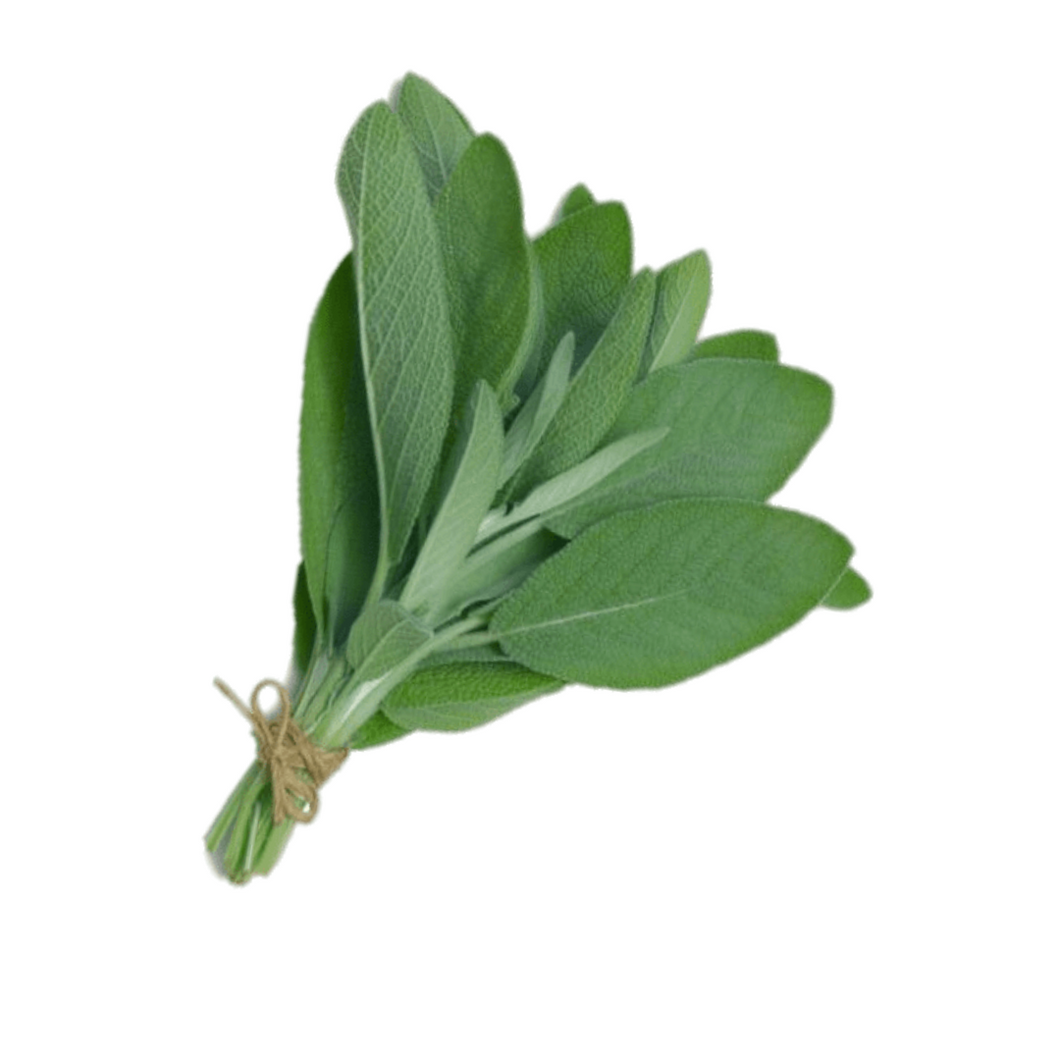 Sage