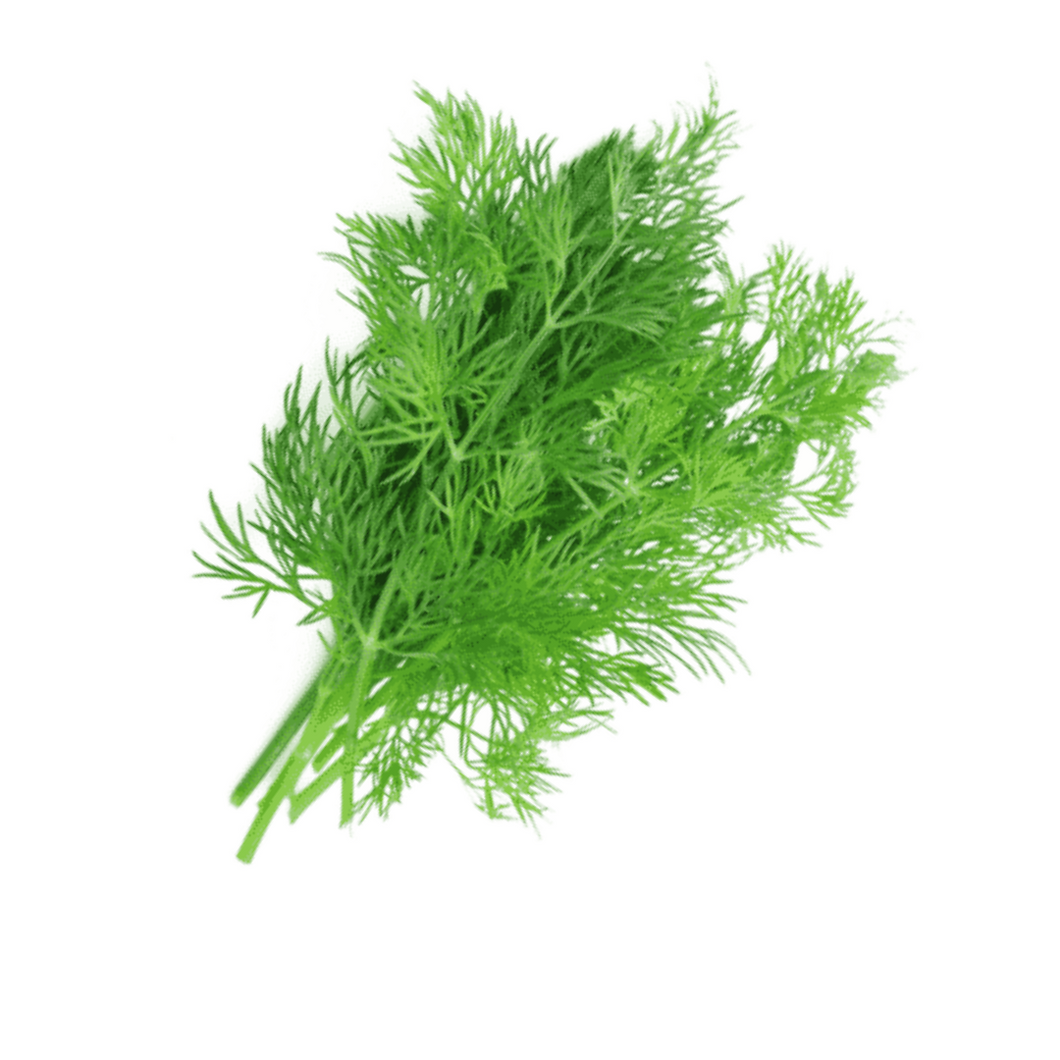Dill