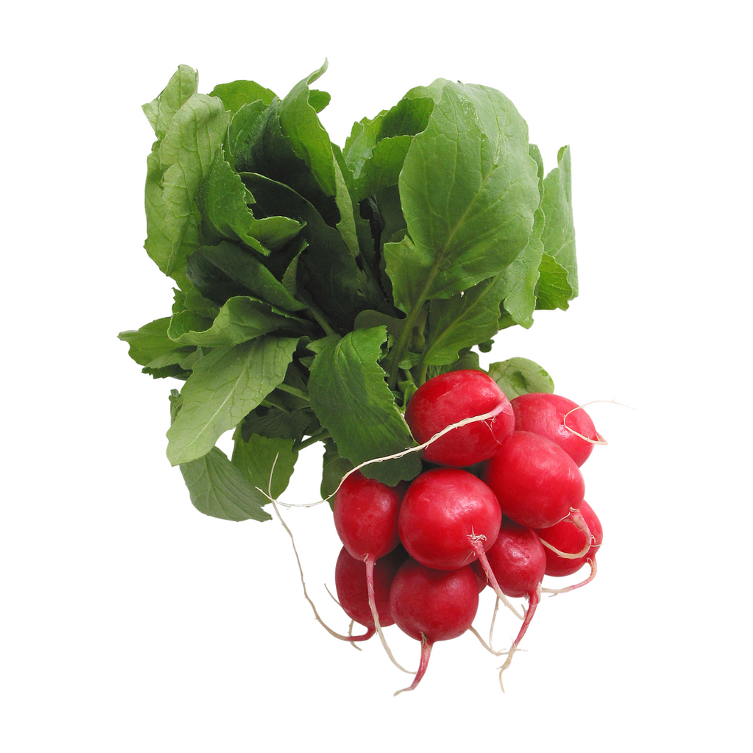 Radish
