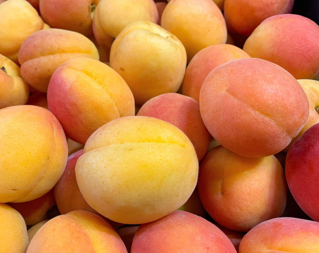 5kg Apricot Tray