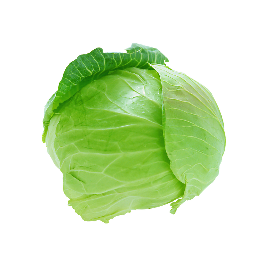 Cabbage - Green